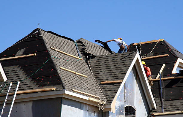 Best Roof Leak Repair  in Morris, IL